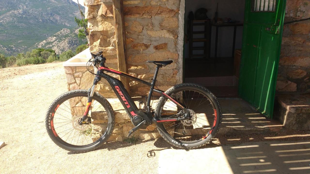 B&B Le Isole San Teodoro  Kültér fotó