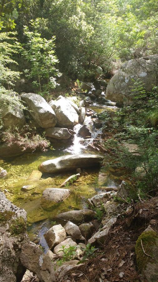 B&B Le Isole San Teodoro  Kültér fotó