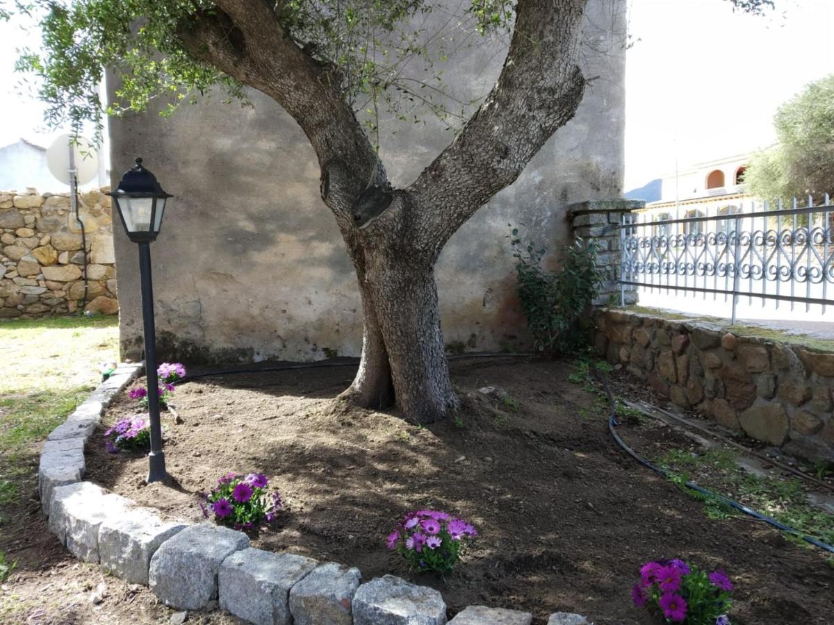 B&B Le Isole San Teodoro  Kültér fotó